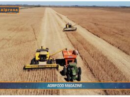 TG AGRIFOOD del 1 gennaio 2025 – Dalla Banca Europea 3 miliardi per agricoltori e bioeconomia (Video)