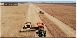 TG AGRIFOOD del 1 gennaio 2025 – Dalla Banca Europea 3 miliardi per agricoltori e bioeconomia  (Video)