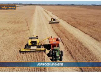 TG AGRIFOOD del 1 gennaio 2025 – Dalla Banca Europea 3 miliardi per agricoltori e bioeconomia (Video)