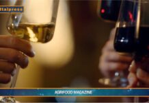 TG AGRIFOOD del 5 febbraio 2025 – Federvini, un appello per scongiurare i dazi (Video)