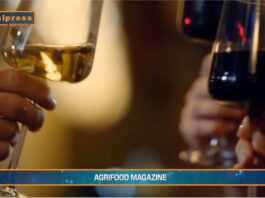 TG AGRIFOOD del 5 febbraio 2025 – Federvini, un appello per scongiurare i dazi (Video)