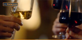 TG AGRIFOOD del 5 febbraio 2025 – Federvini, un appello per scongiurare i dazi  (Video)