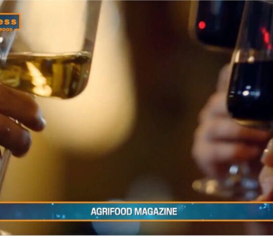 TG AGRIFOOD del 5 febbraio 2025 – Federvini, un appello per scongiurare i dazi (Video)