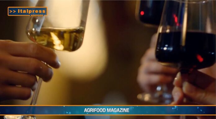 TG AGRIFOOD del 5 febbraio 2025 – Federvini, un appello per scongiurare i dazi  (Video)