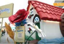 TG News – Mulino Bianco compie 50 anni, a Milano un anno di festeggiamenti (video)