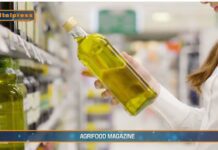 TG AGRIFOOD del 29 gennaio 2025 – L’olio tunisino ‘low cost’ invade il mercato italiano (Video)