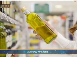 TG AGRIFOOD del 29 gennaio 2025 – L’olio tunisino ‘low cost’ invade il mercato italiano (Video)