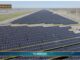 TG AMBIENTE del 26 gennaio 2025 …- Aeroporti, a Fiumicino il più grande impianto fotovoltaico d’Europa – (Video)