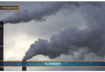 TG AMBIENTE del 2 febbraio  2025 …- Cambiamenti climatici, oltre due milioni di morti entro il 2099 (Video)