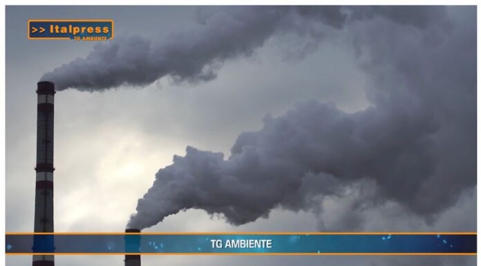 TG AMBIENTE del 2 febbraio 2025 …- Cambiamenti climatici, oltre due milioni di morti entro il 2099 (Video)