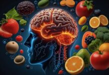 La chiave per combattere l’obesità può celarsi nel cervello