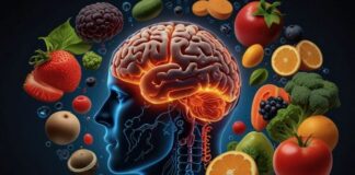 La chiave per combattere l’obesità può celarsi nel cervello