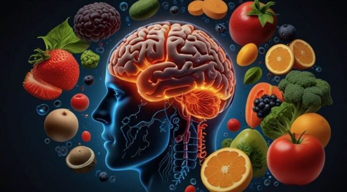 La chiave per combattere l’obesità può celarsi nel cervello