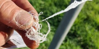 “Fili tossici” piovono dal cielo: intervista a Christian Oesch, Presidente dell’Associazione Svizzera WIR