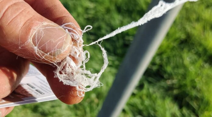 “Fili tossici” piovono dal cielo: intervista a Christian Oesch, Presidente dell’Associazione Svizzera WIR