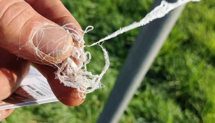 Design ohne Titel - 1