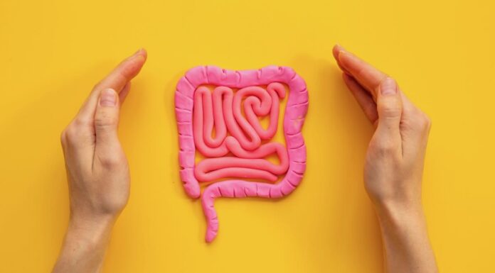 Dalla teoria alla pratica: Mantenere l’igiene del Tubo Digerente con il Metodo Adamski