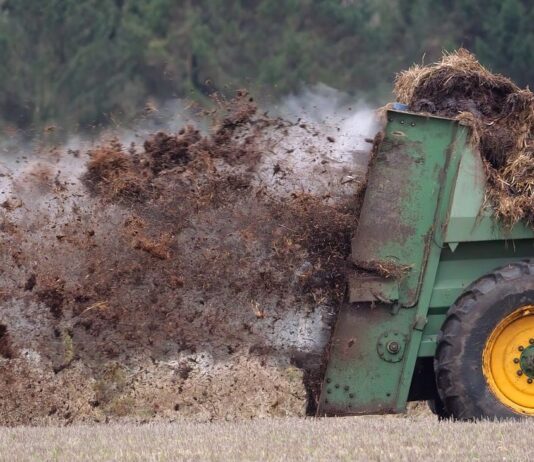 Bio-Metano e Biogas: “dalla Stalla alla Stalla”, un circolo virtuoso di sostenibilità