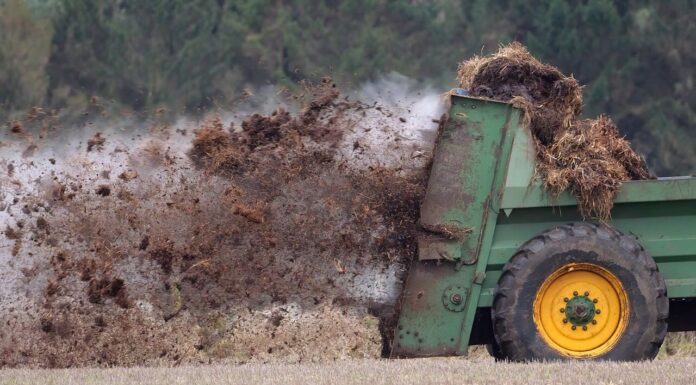 Bio-Metano e Biogas: “dalla Stalla alla Stalla”, un circolo virtuoso di sostenibilità