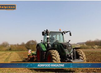 TG AGRIFOOD del 26 febbraio 2025 – 3 miliardi a sostegno del settore agroalimentare (Video)