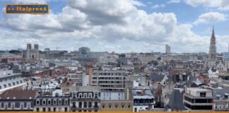 TG AGRIFOOD del 26 febbraio 2025 – Vinitaly torna a Bruxelles per la preview europea (video)