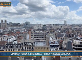 TG AGRIFOOD del 26 febbraio 2025 – Vinitaly torna a Bruxelles per la preview europea (video)