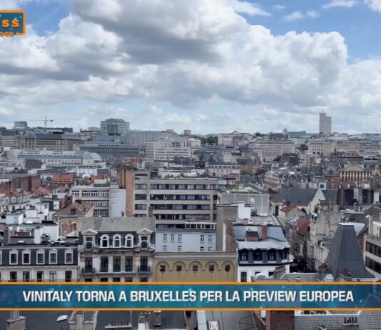TG AGRIFOOD del 26 febbraio 2025 – Vinitaly torna a Bruxelles per la preview europea (video)