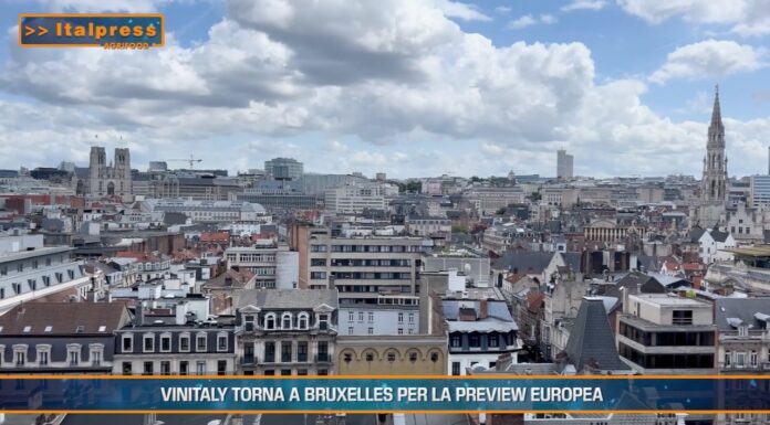 TG AGRIFOOD del 26 febbraio 2025 – Vinitaly torna a Bruxelles per la preview europea (video)