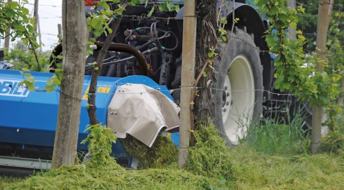 Un concentrato di tecnologia e sostenibilità nelle Trince Pacciametrici Sds Serie 1000