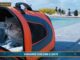 PetNews Magazine. – Viaggiare con cani e gatti (video)
