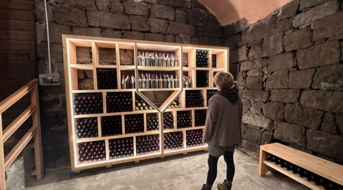 Storia, Passione ed un Rosé Speciale alla Tenuta Popphof