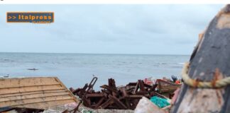 TG AMBIENTE del 16 marzo  2025 – Inquinamento Zero, l’Europa fa il punto sugli obiettivi al 2030   (Video)