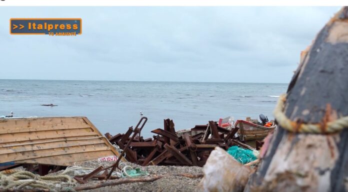 TG AMBIENTE del 16 marzo 2025 – Inquinamento Zero, l’Europa fa il punto sugli obiettivi al 2030 (Video)