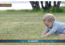 TG AMBIENTE del 23 febbraio  2025 – Dall’Unione europea una bussola per la competitività e la transizione green (Video)