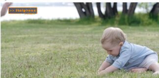 TG AMBIENTE del 23 febbraio  2025 – Dall’Unione europea una bussola per la competitività e la transizione green (Video)