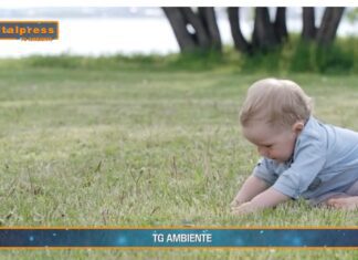 TG AMBIENTE del 23 febbraio 2025 – Dall’Unione europea una bussola per la competitività e la transizione green (Video)