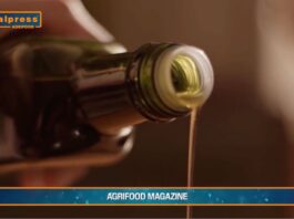 TG AGRIFOOD del 5 febbraio 2025 – Agriturismi in salute (Video)