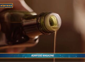 TG AGRIFOOD del 5 febbraio 2025 – Agriturismi in salute (Video)