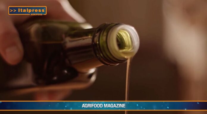 TG AGRIFOOD del 5 febbraio 2025 – Agriturismi in salute (Video)