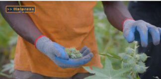 TG AMBIENTE del 2 marzo  2025 – Rifiuti tessili e sprechi alimentari  (Video)