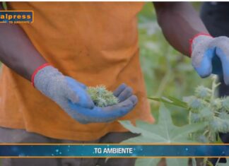 TG AMBIENTE del 2 marzo 2025 – Rifiuti tessili e sprechi alimentari (Video)