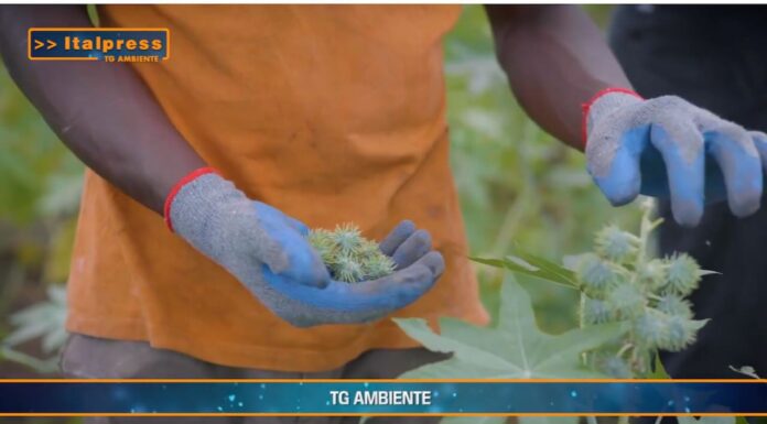 TG AMBIENTE del 2 marzo 2025 – Rifiuti tessili e sprechi alimentari (Video)