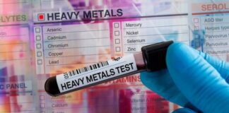 I metalli pesanti come contaminanti negli alimenti