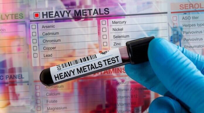 I metalli pesanti come contaminanti negli alimenti