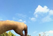 Dalle radici della tradizione vinicola all’innovazione controllata.