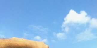 Dalle radici della tradizione vinicola all’innovazione controllata.