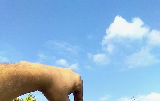 Dalle radici della tradizione vinicola all’innovazione controllata.