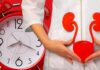 Vescica e rene: il flusso vitale dell’acqua nell’orologio universale
