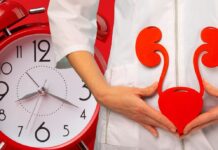 Vescica e rene: il flusso vitale dell’acqua nell’orologio universale