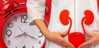 Vescica e rene: il flusso vitale dell’acqua nell’orologio universale